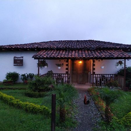 Villa Hacienda Cafetera La Gaviota à Chinchiná Extérieur photo