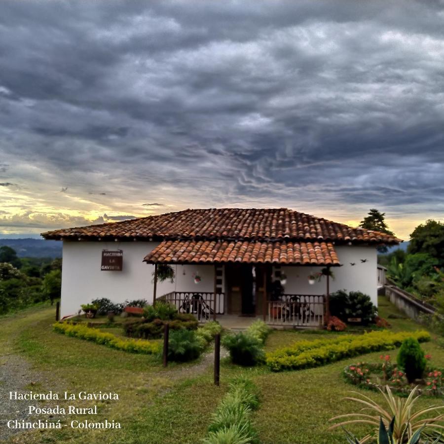 Villa Hacienda Cafetera La Gaviota à Chinchiná Extérieur photo